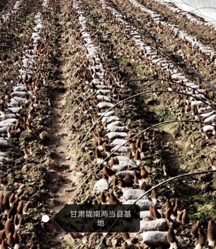 &#98;&#115;&#112;&#111;&#114;&#116;&#115;&#45;&#98;&#40;&#20013;&#22269;&#41;&#19968;&#31449;&#24335;&#20307;&#32946;&#26381;&#21153;&#23448;&#26041;&#32593;&#31449;