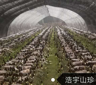 &#98;&#115;&#112;&#111;&#114;&#116;&#115;&#45;&#98;&#40;&#20013;&#22269;&#41;&#19968;&#31449;&#24335;&#20307;&#32946;&#26381;&#21153;&#23448;&#26041;&#32593;&#31449;