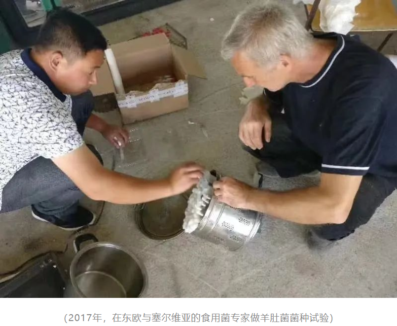 &#98;&#115;&#112;&#111;&#114;&#116;&#115;&#45;&#98;&#40;&#20013;&#22269;&#41;&#19968;&#31449;&#24335;&#20307;&#32946;&#26381;&#21153;&#23448;&#26041;&#32593;&#31449;